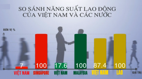 Toàn cảnh “bức tranh” năng suất lao động Việt Nam