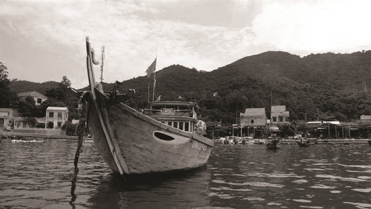 Các dự án của GFF tại Việt Nam