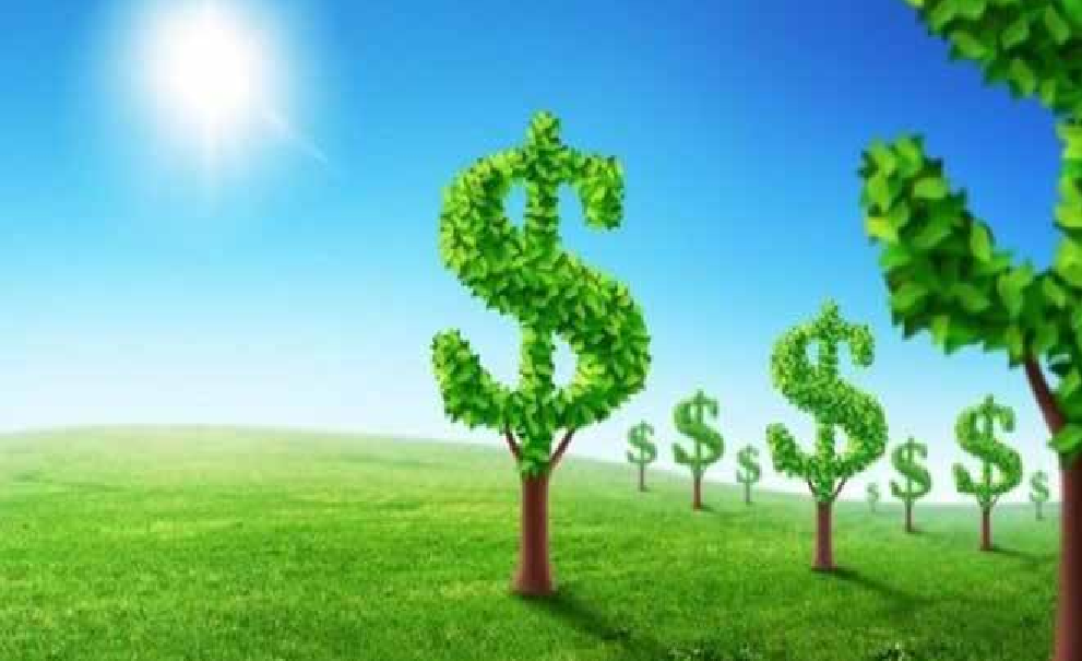 Một số tổ chức hỗ trợ hoạt động bảo vệ môi trường Việt Nam