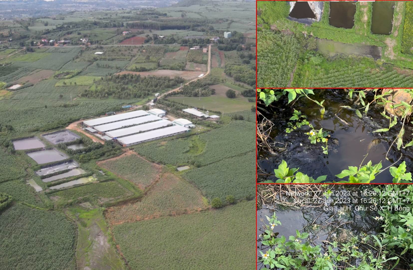 Huyện Chư Sê (Gia Lai): Nước thải đen ngòm, bốc mùi nồng nặc từ trại heo chảy ra mương nước Huyện Chư Sê (Gia Lai): Nước thải đen ngòm, bốc mùi nồng nặc từ trại heo chảy ra mương nước