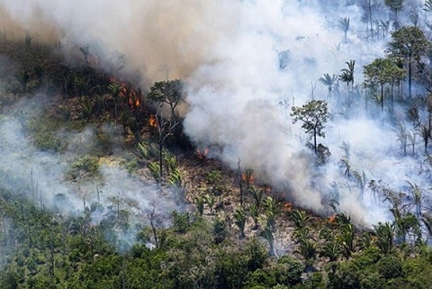 Đau xót hình ảnh "lá phổi" Amazon của hành tinh bị lửa huỷ hoại