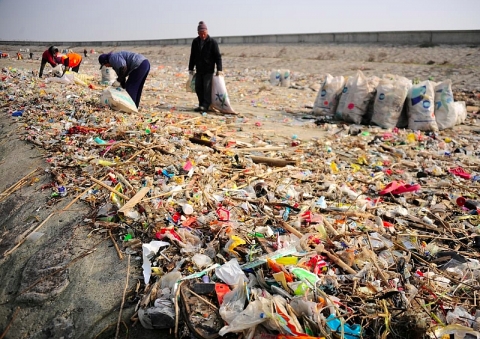 Đổ ra biển 200,7 triệu m3 chất thải vào năm 2018