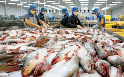 Kim ngạch xuất khẩu Nam Việt đạt 119,4 triệu USD 10 tháng đầu năm