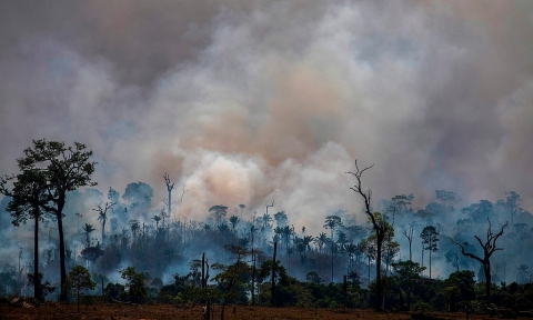 Tổng thống Brazil phát ngôn gây sốc: Phá rừng là "văn hoá"
