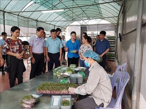 Hà Nội công bố một số thủ tục hành chính lĩnh vực an toàn thực phẩm