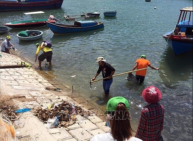 Môi trường biển Việt Nam Ô nhiễm và suy thoái gia tăng