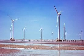 Bình Định đề xuất đưa 15 dự án điện gió với mức đầu tư 4,6 tỷ USD vào quy hoạch điện VIII