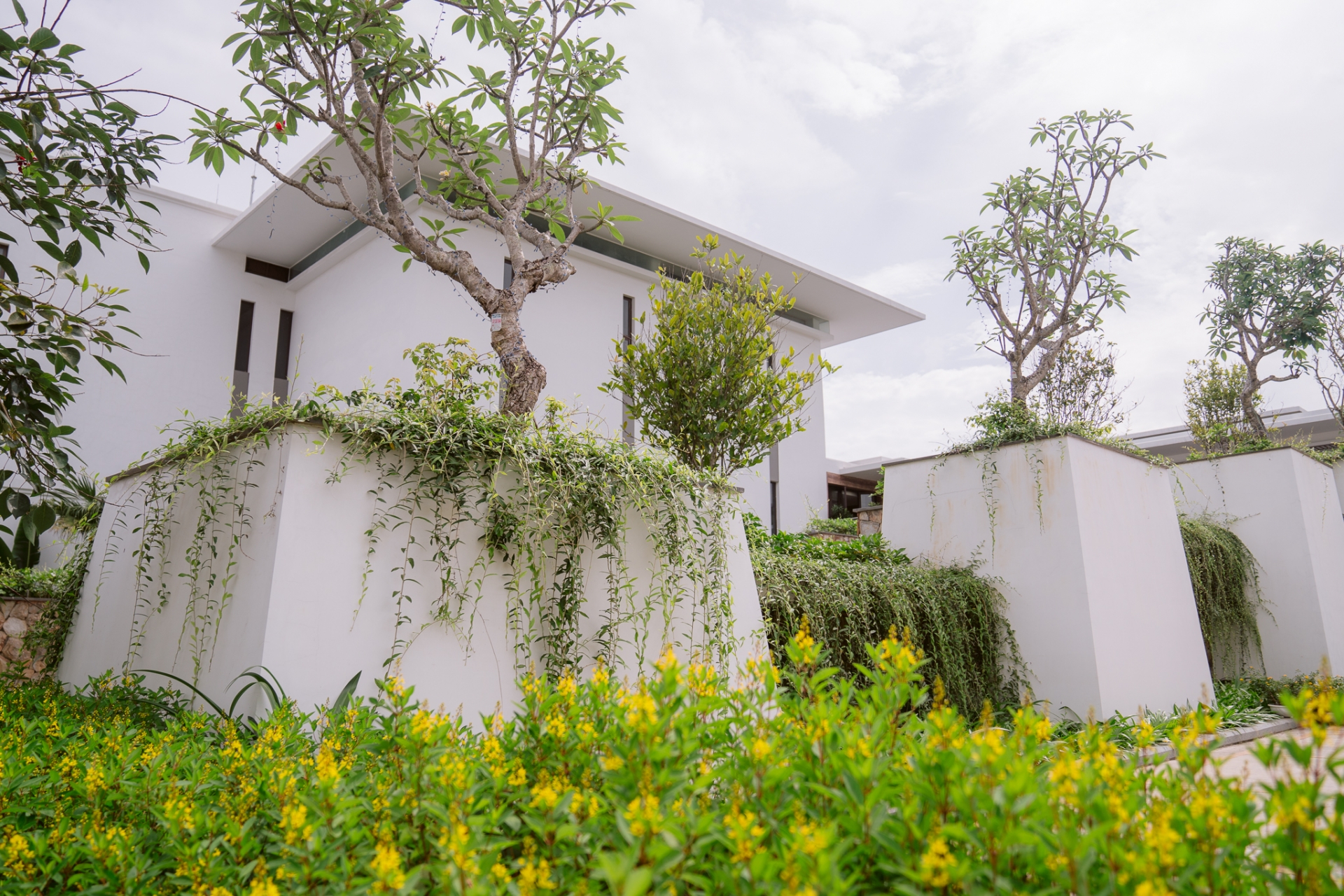 Xu thế “ngôi nhà thứ hai” và sức hấp dẫn của “Khu nghỉ dưỡng dành cho gia đình hàng đầu châu Á”