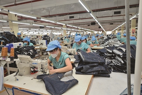 Vai trò của FDI trong phát triển công nghiệp hỗ trợ dệt may Việt Nam
