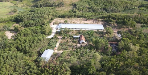 Đồng Xuân (Phú Yên): Trang trại chăn nuôi heo không phép tác động đến môi trường, môi sinh