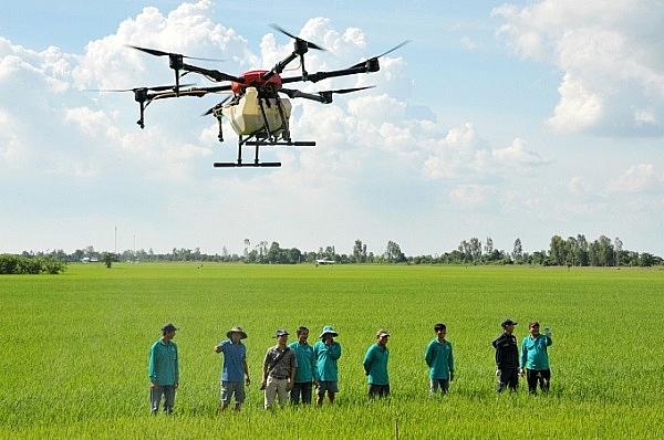 Công bố tiêu chuẩn về khảo nghiệm trên đồng ruộng thuốc bảo vệ thực vật bằng UAV