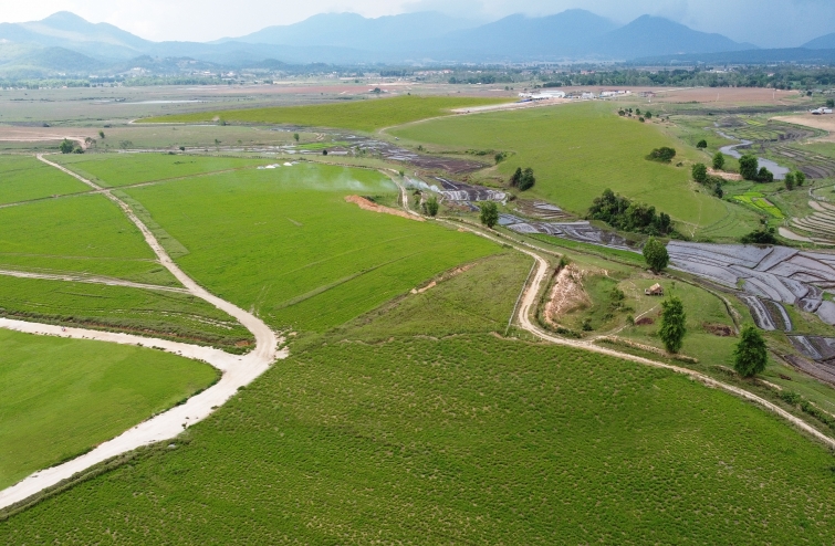 Vinamilk đẩy mạnh đầu tư và khai thác thị trường nước ngoài Vinamilk đẩy mạnh đầu tư và khai thác thị trường nước ngoài