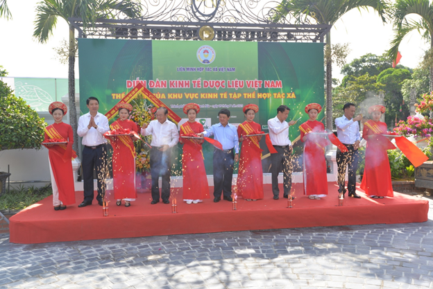 Tinh hoa dược liệu Việt Nam - Thế mạnh kinh tế hợp tác xã Tinh hoa dược liệu Việt Nam - Thế mạnh kinh tế hợp tác xã