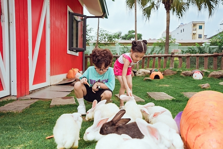 Lễ hội Đảo sắc màu dịp nghỉ lễ Quốc khánh 2/9 tại Công viên Thiên đường Bảo Sơn