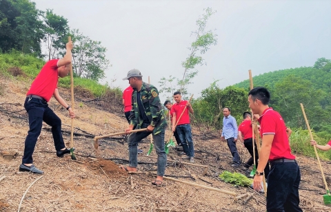 SeABank trao tặng 154.000 cây xanh ủng hộ trồng rừng và phát triển kinh tế tại Hà Tĩnh
