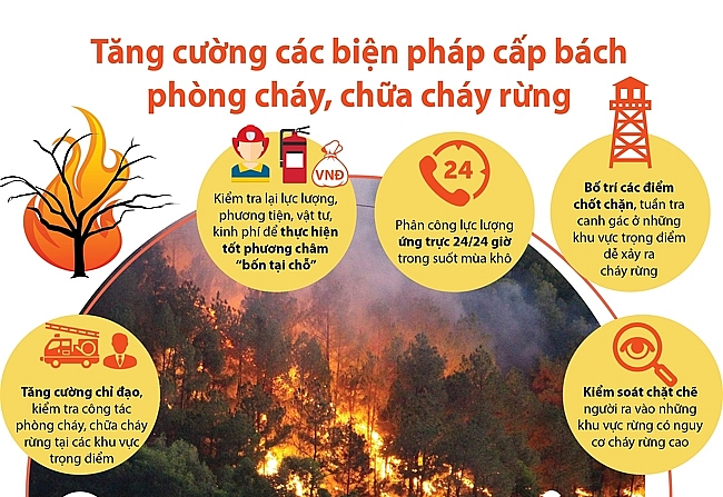 Một số biện pháp phòng cháy, chữa cháy rừng.