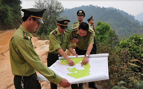 Yên Bái: Chú trọng trong công tác bảo vệ, phát triển rừng theo hướng bền vững