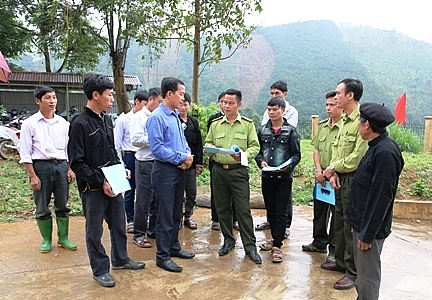 Kiểm lâm Văn Yên khẳng định vai trò xung kích trong công tác bảo vệ rừng