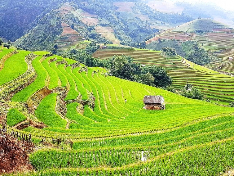 Phát triển du lịch bền vững ở Việt Nam