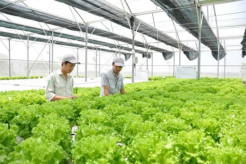 Bắc Ninh: Phát triển nông nghiệp xanh, bền vững theo định hướng kinh tế tuần hoàn