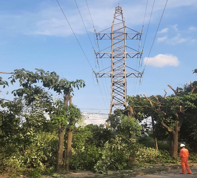 Hà Nam tăng cường đảm bảo vận hành lưới điện an toàn, ổn định mùa mưa bão