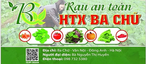 HTX Ba Chữ: Cung ứng rau sạch, rau an toàn cho người tiêu dùng