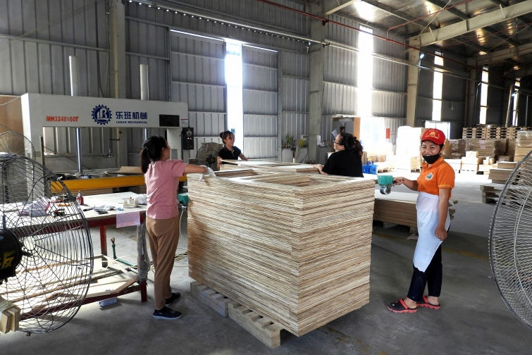 Công ty TNHH ngành gỗ Thiên An Việt Nam: Sản xuất, kinh doanh đi đôi với công tác bảo vệ môi trường