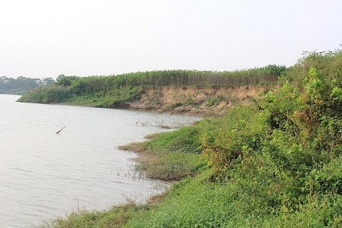 Thái Nguyên: "Cát tặc" sông Cầu "nuốt chửng" đất bãi soi dâu
