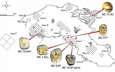 Phát hiện 6 hóa thạch răng người 40.000 năm tuổi tại Israel