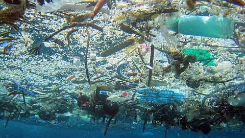 Xây dựng nền tảng quản lý, giảm thiểu rác thải nhựa từ nguồn tới biển
