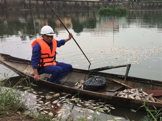 Công bố nguyên nhân cá chết bất thường ở hồ Đại An