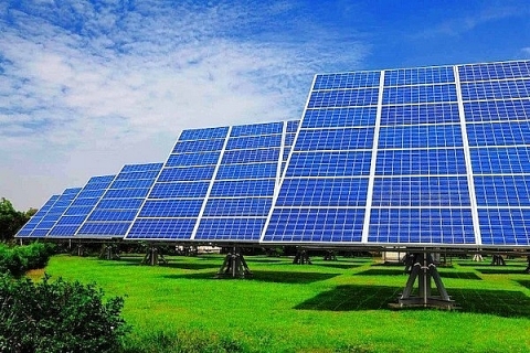 Cơ chế đấu thầu dành cho giá điện mặt trời