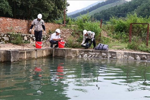 Hòa Bình khẩn trương xử lý ô nhiễm nguồn nước sạch sông Đà