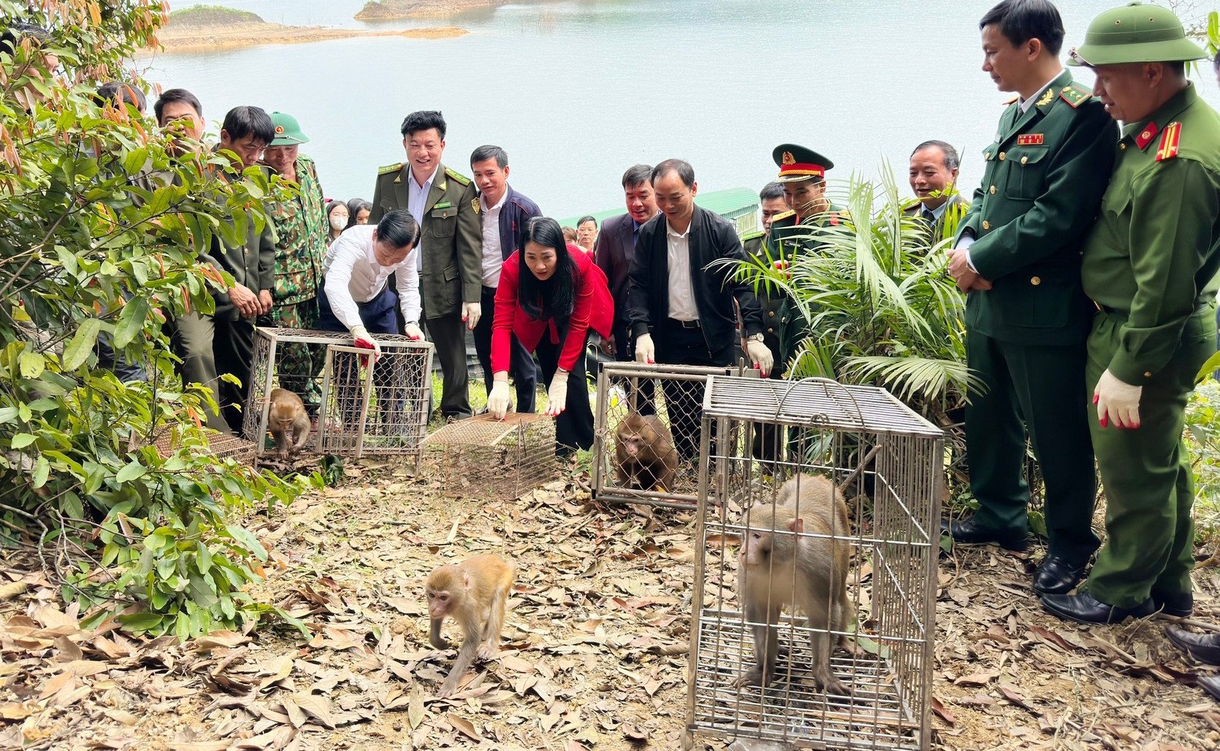 Hà Tĩnh: 43 cá thể động vật hoang dã quý hiếm được thả về Vườn quốc gia Vũ Quang