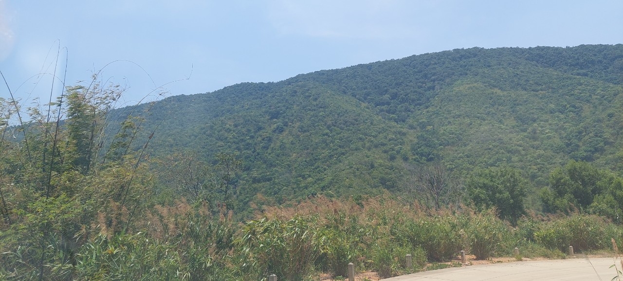 Lâm Đồng: huyện Bảo Lâm Xử lý nghiêm các trường hợp cố tình làm trái quy định, làm mất rừng