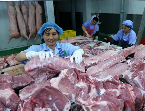 Cân đối nguồn cung thịt lợn, góp phần bình ổn thị trường đón Tết Nguyên đán Canh Tý năm 2020