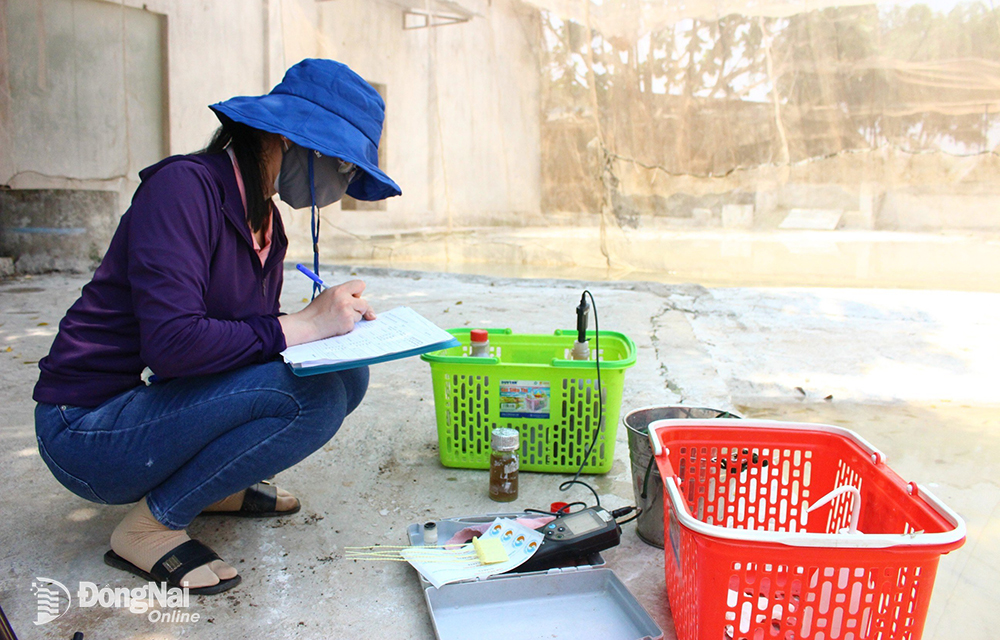 Nhân viên test mẫu nước thải lấy từ hồ chứa ở trang trại Nguyễn Văn Đức