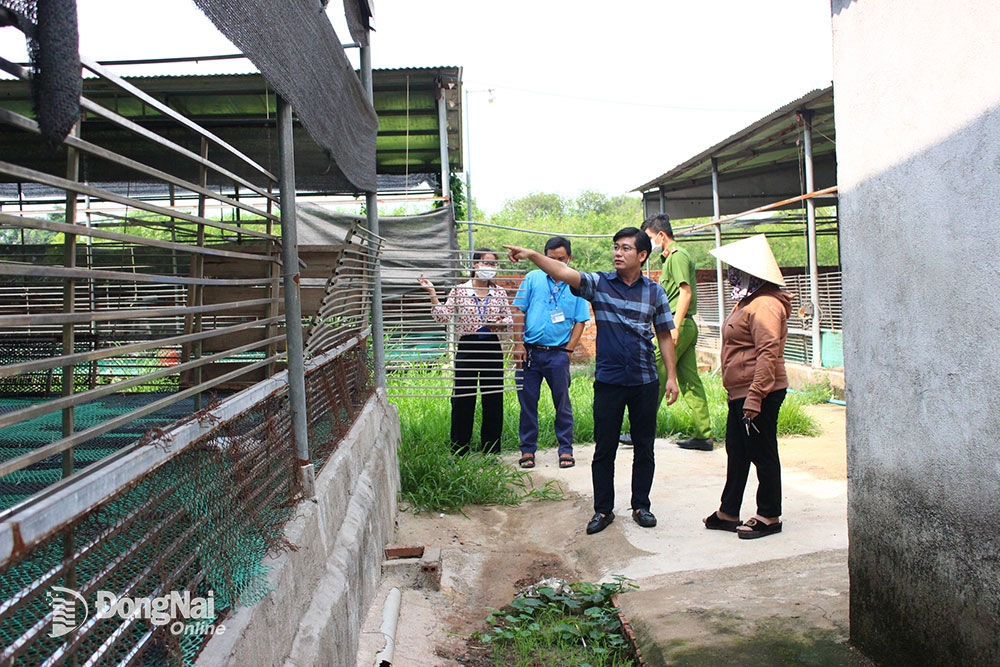 Huyện Thống Nhất (Đồng Nai): Xử lý 2 trang trại chăn nuôi gây ô nhiễm môi trường