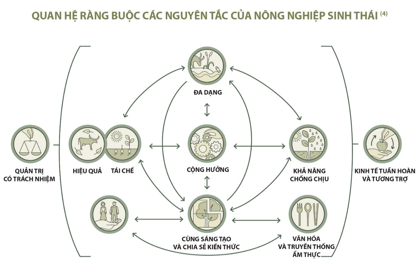 Phát triển Nông nghiệp sinh thái trên địa bàn tỉnh Phú Thọ