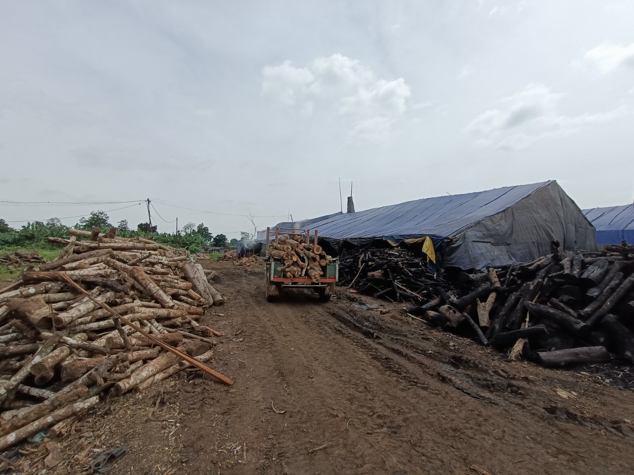 Xã Ekly, huyện Krong Pắk (Đắk Lắk): Nhiều “lò đốt than củi” tự phát, gây ô nhiễm môi trường