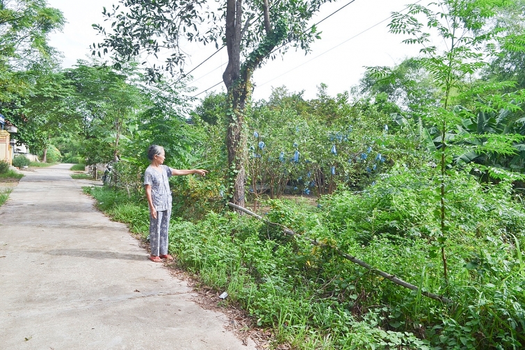 Ô nhiễm môi trường từ thuốc bảo vệ thực vật trên địa bàn tỉnh Quảng Trị Ô nhiễm môi trường từ thuốc bảo vệ thực vật trên địa bàn tỉnh Quảng Trị