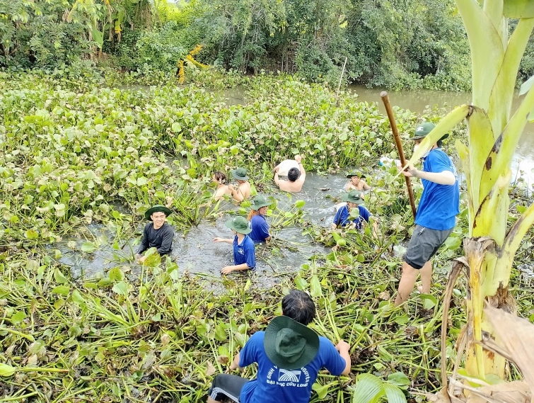 Đoàn viên thanh niên lội kênh để làm sạch dòng kênh.