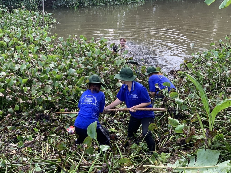 Nhóm sinh viên tình nguyện của Trường ĐH Cửu Long tham gia vớt lục bình tại đoạn kênh Rạch Bần (ấp Ba Cụm, xã Ngọc Biên, H.Trà Cú)