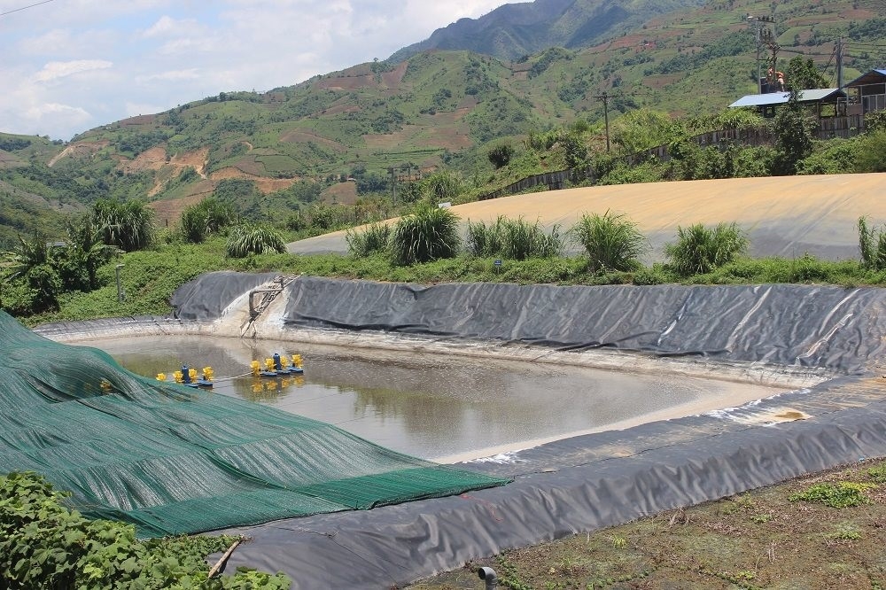 Sơn La: Kiểm tra, giám sát xử lý ô nhiễm môi trường của trại lợn Cao Đa Sơn La: Kiểm tra, giám sát xử lý ô nhiễm môi trường của trại lợn Cao Đa