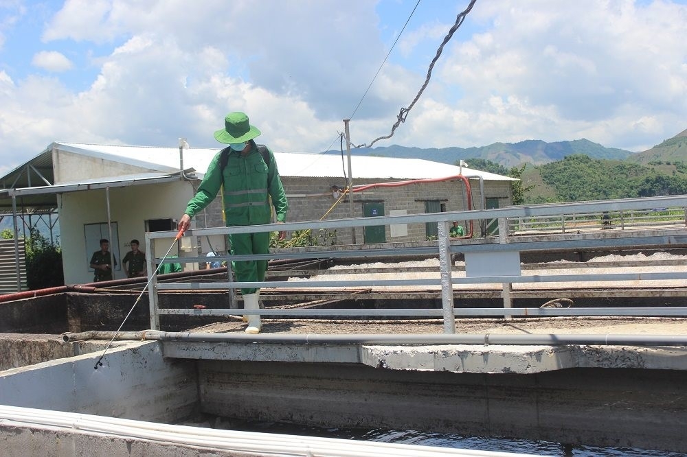 Sơn La: Kiểm tra, giám sát xử lý ô nhiễm môi trường của trại lợn Cao Đa Sơn La: Kiểm tra, giám sát xử lý ô nhiễm môi trường của trại lợn Cao Đa