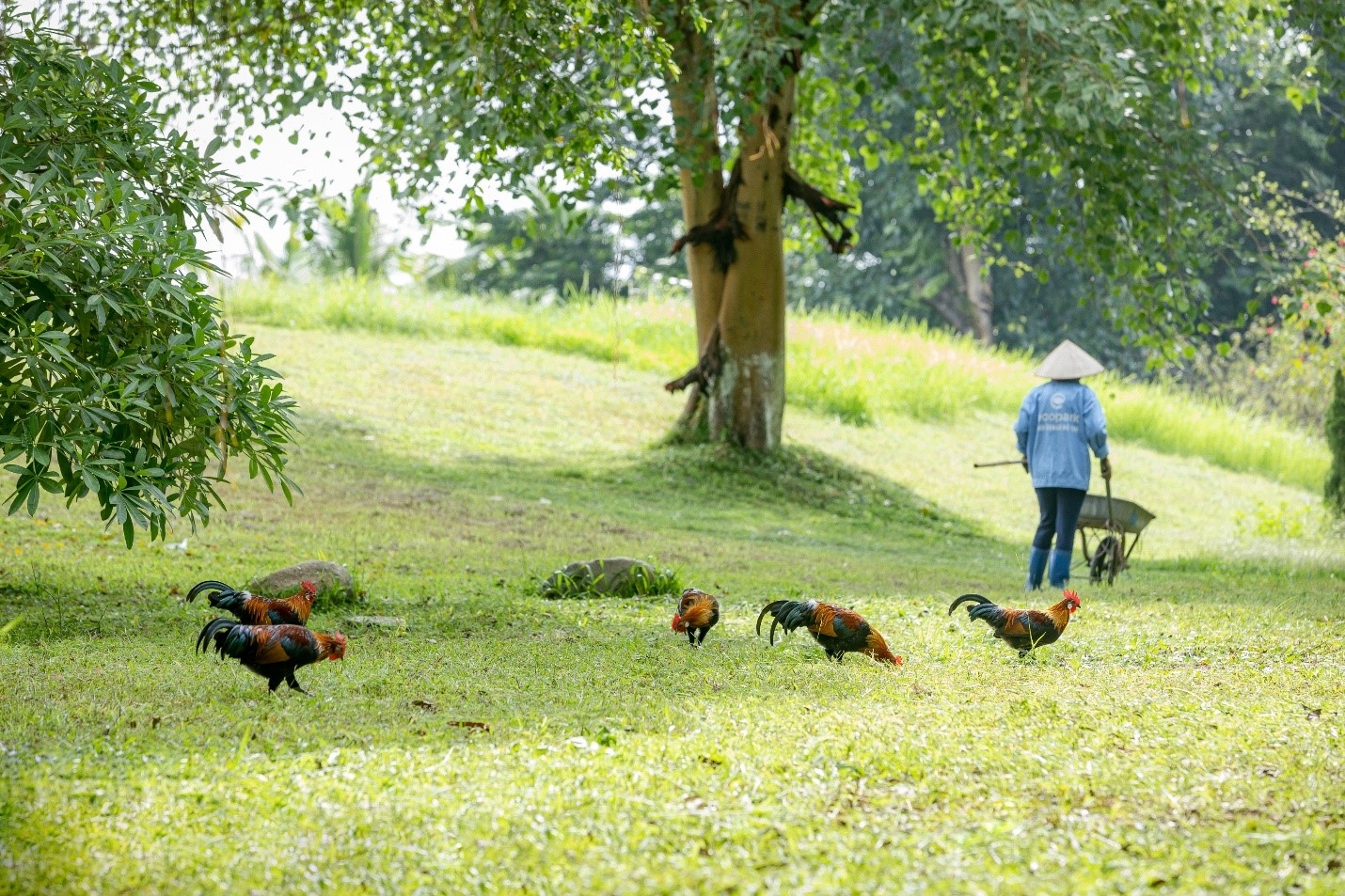 Khu đô thị Ecopark: Nơi con người được thiên nhiên yêu thương