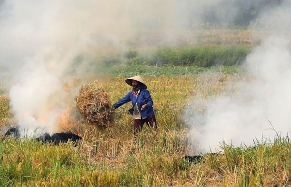 congnghiepmoitruong.vn