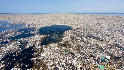 Bà Rịa - Vũng Tàu: Phát động phong trào bảo vệ môi trường và giảm thiểu rác thải nhựa tại huyện Côn Đảo