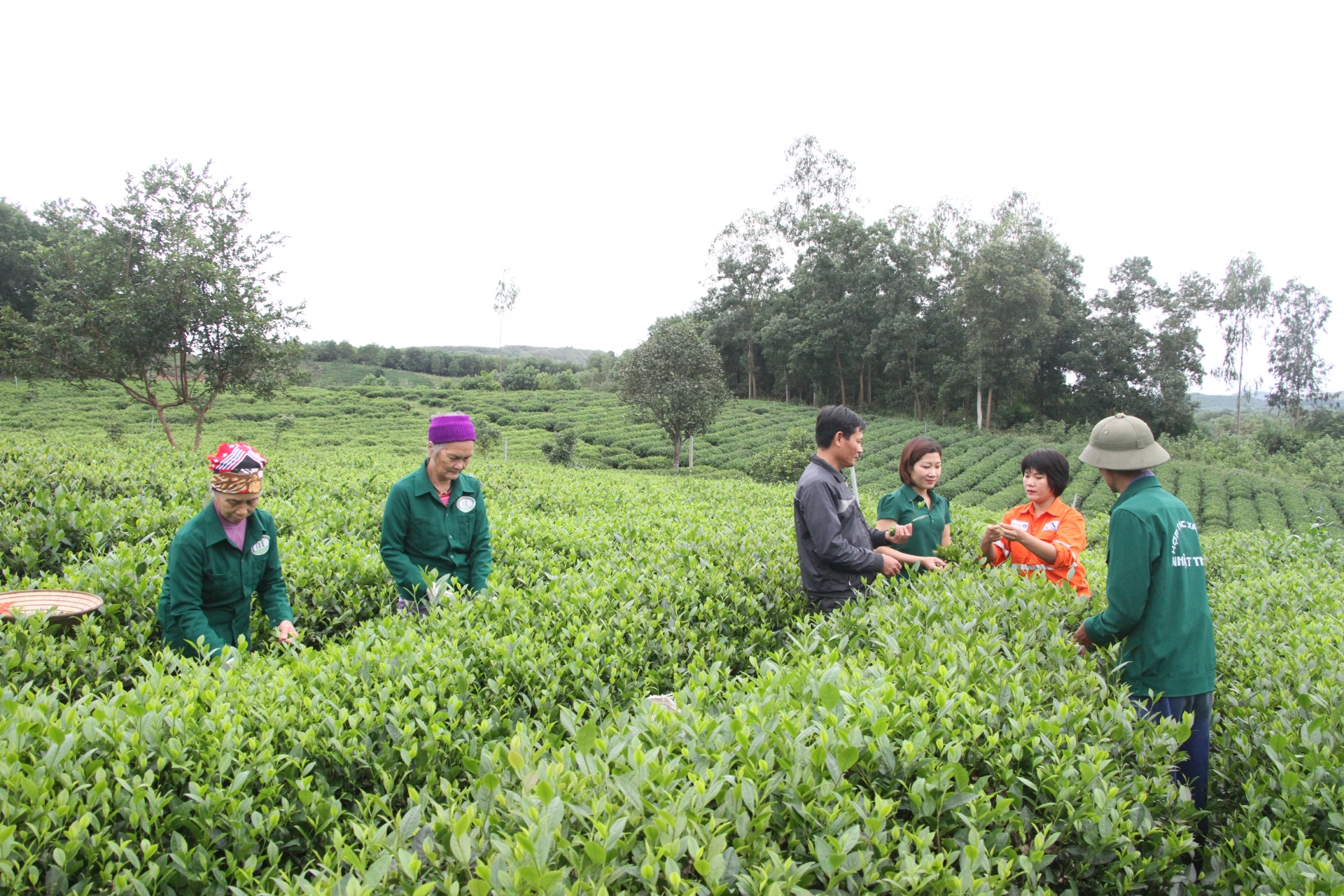 Masan High-Tech Materials 5 năm liên tiếp lọt Top 100 Doanh nghiệp bền vững Việt Nam Masan High-Tech Materials 5 năm liên tiếp lọt Top 100 Doanh nghiệp bền vững Việt Nam