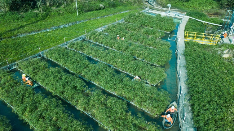 Masan High-Tech Materials 5 năm liên tiếp lọt Top 100 Doanh nghiệp bền vững Việt Nam Masan High-Tech Materials 5 năm liên tiếp lọt Top 100 Doanh nghiệp bền vững Việt Nam